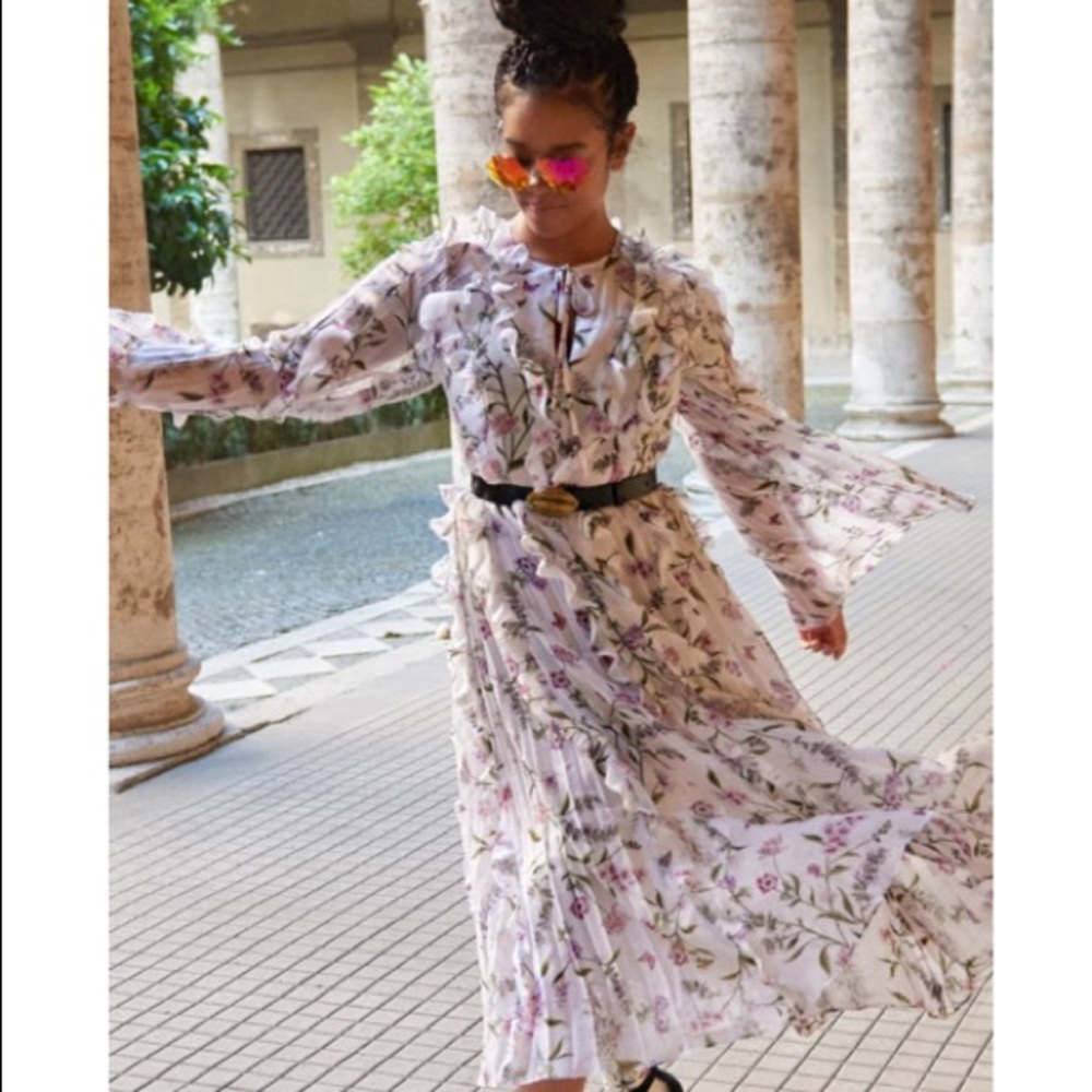 H&M x Giambattista Valli Chiffon Dress